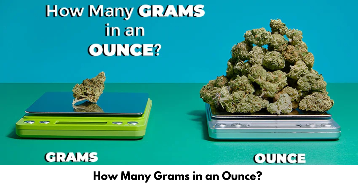 How Many Grams in an Ounce Complete Guide 2026