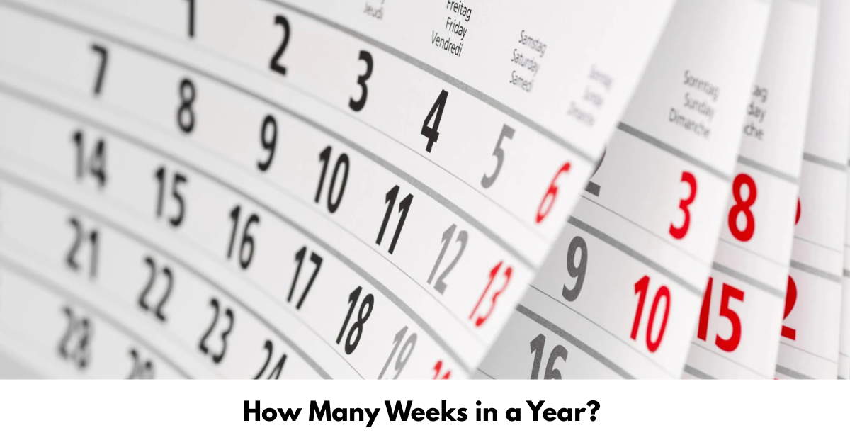 How Many Weeks in a Year
